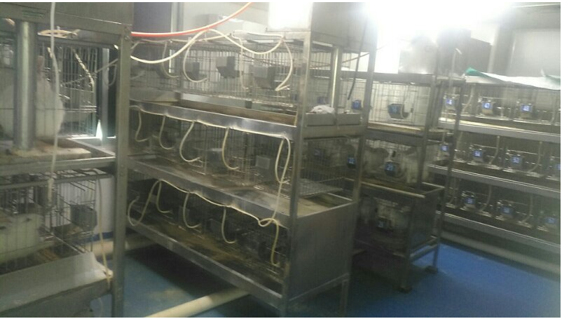 ������ʱ�������ǲ���(�й���)�ٷ���վ